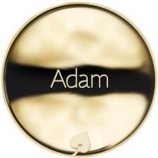 Jméno Adam - frotar