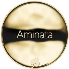 Jméno Aminata - líc