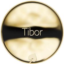 Name Tibor - Reverse